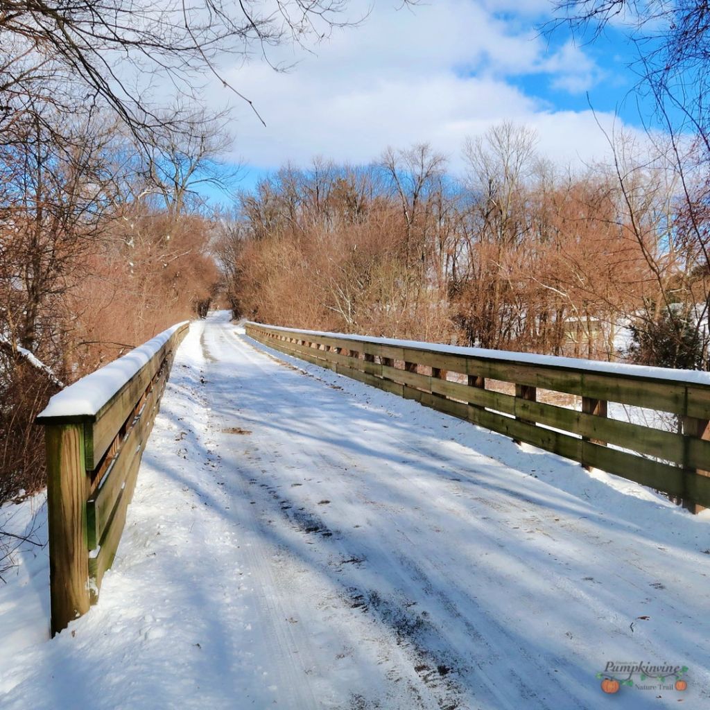 Pumpkinvine Nature Trail