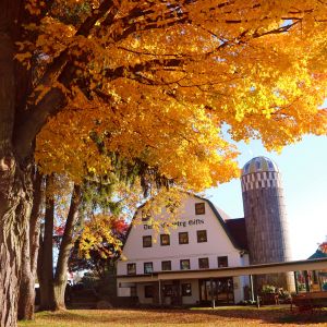 Shopping Getaways in Indiana's Cool North