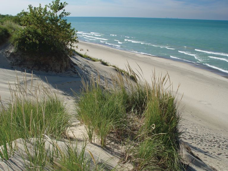 Top 15 Things To Eat | The Indiana Dunes Immerse Yourself In Natures ...