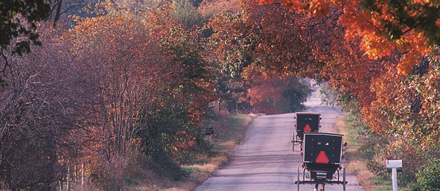 Discover the Fascinating World of the Amish in Northern Indiana 3