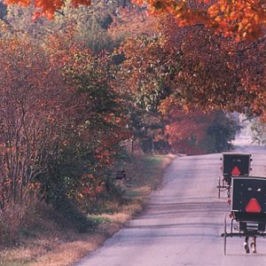 Discover the Fascinating World of the Amish in Northern Indiana 3