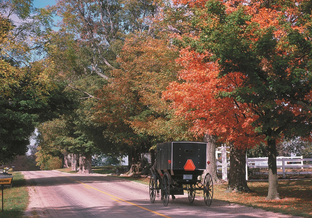 Discover The Fascinating World Of The Amish In Northern Indiana | NITDC