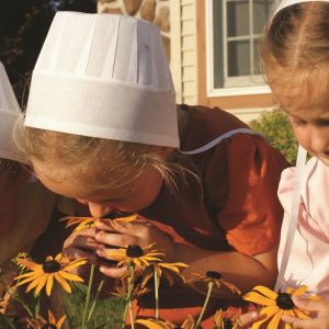 Discover the Fascinating World of the Amish in Northern Indiana 2