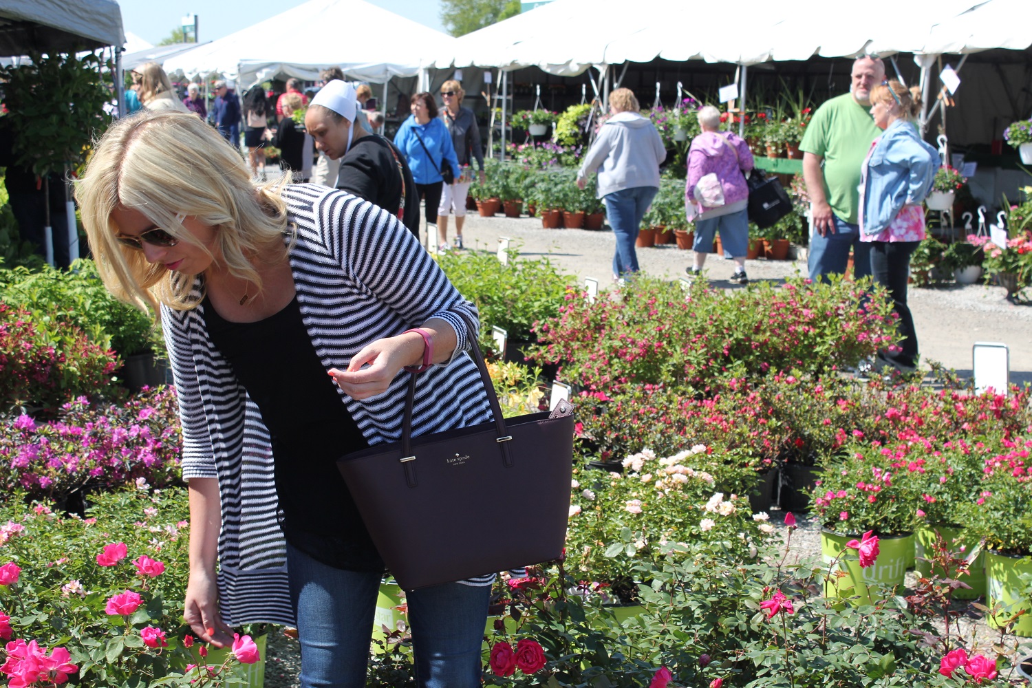 Memorial Day Extended Flea Market NITDC