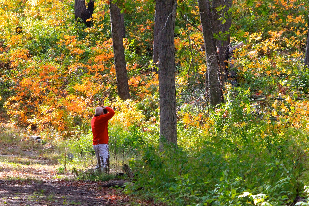 Places to See Fall Foliage in Indiana’s Cool North NITDC