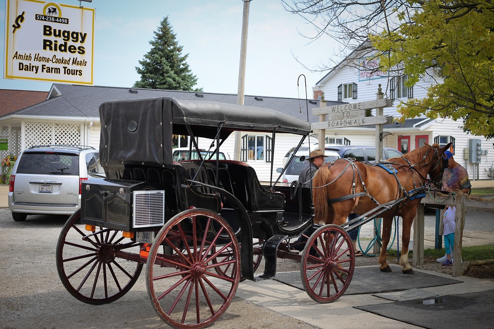 Shipshewana Buggy Ride