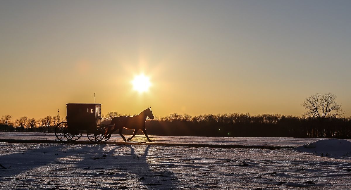 Discover the Fascinating World of the Amish in Northern Indiana 20