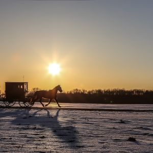 Discover the Fascinating World of the Amish in Northern Indiana 20