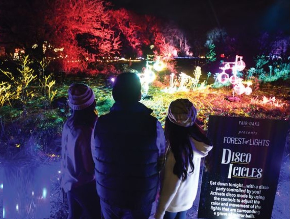 Magical Light Displays in Indiana’s Cool North | NITDC