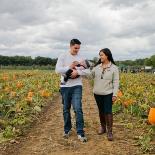 Harvest Season at Fair Oaks Farms