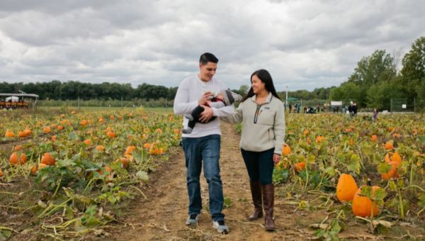 Harvest Season at Fair Oaks Farms