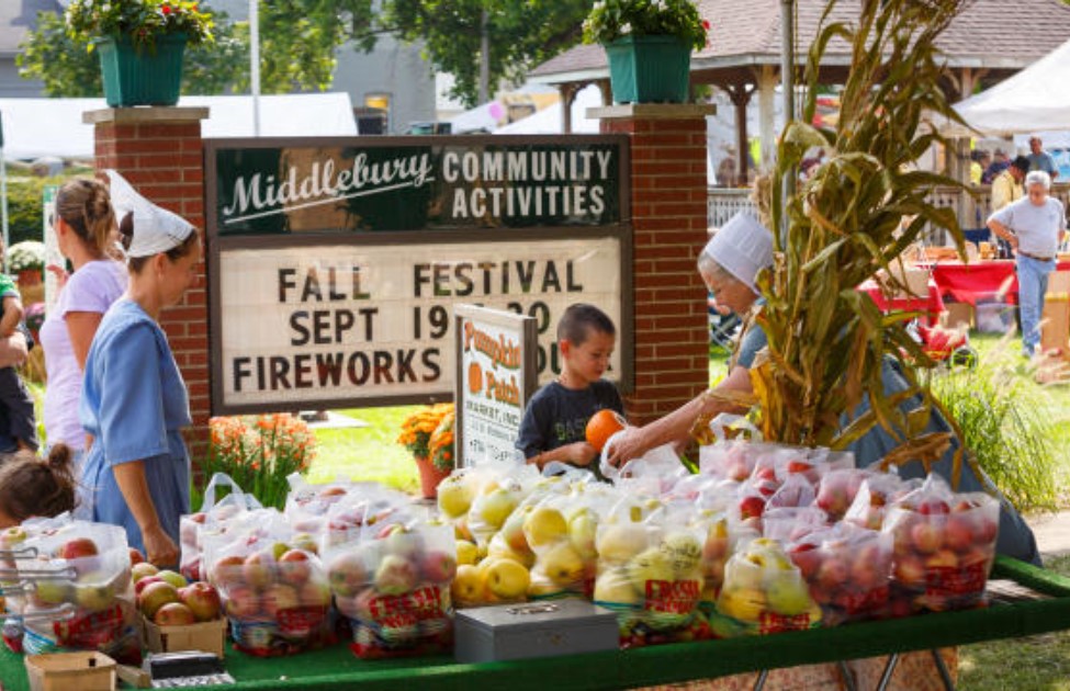 Middlebury Fall Festival NITDC